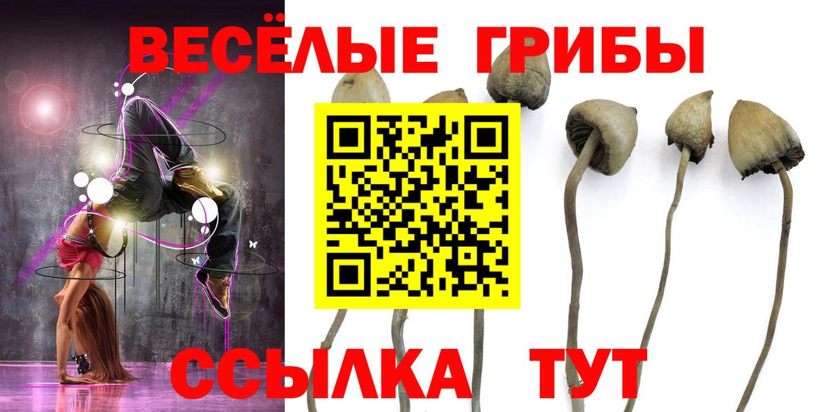 Галлюциногенные грибы Cubensis  Вход с VPN  Галлюциногенные грибы Psilocybine cubensis  Каменск-Шахтинский 